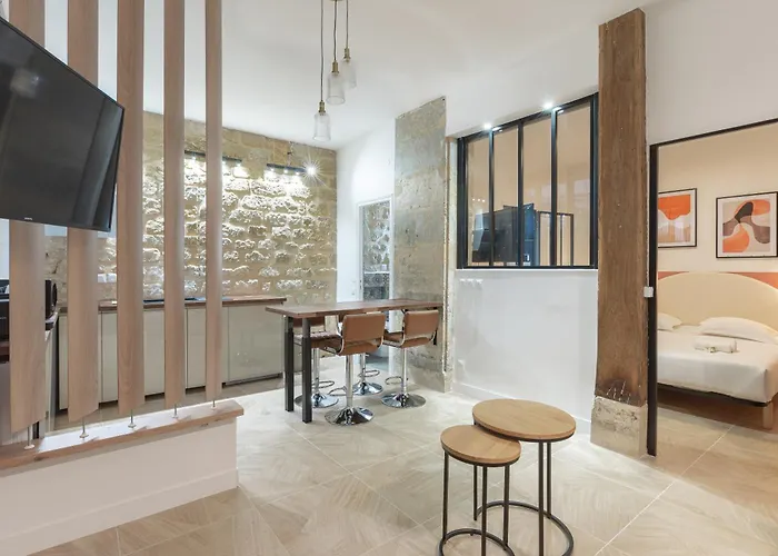New Gorgeous Flat-central Area Paris